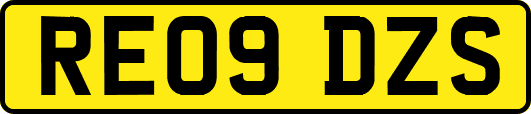 RE09DZS