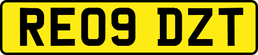 RE09DZT