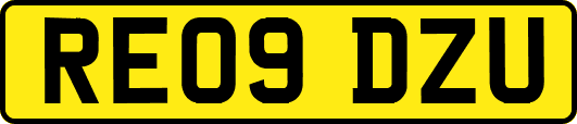 RE09DZU