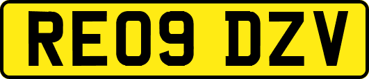 RE09DZV