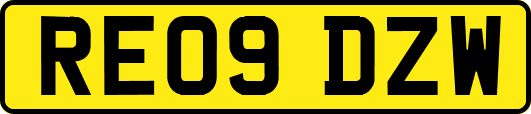 RE09DZW