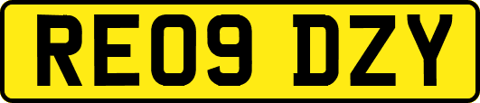 RE09DZY
