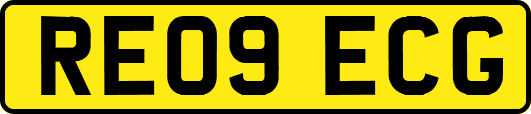 RE09ECG