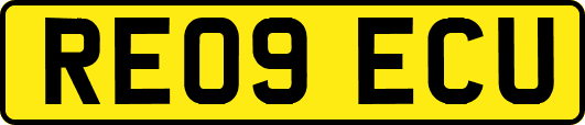 RE09ECU