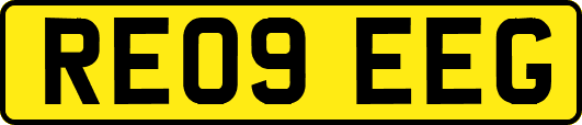 RE09EEG