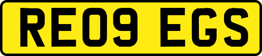 RE09EGS