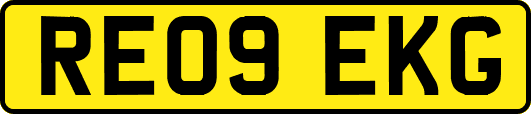 RE09EKG