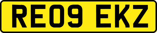 RE09EKZ