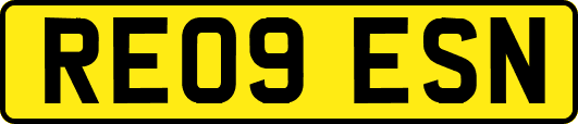 RE09ESN