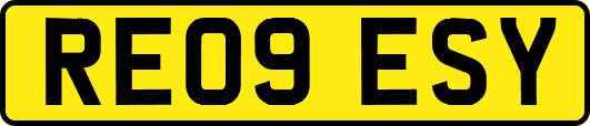 RE09ESY