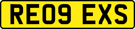 RE09EXS