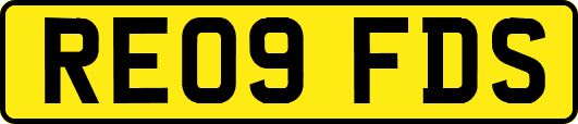 RE09FDS