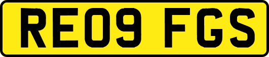 RE09FGS