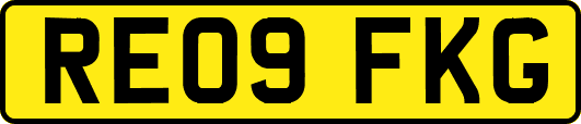 RE09FKG