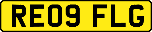 RE09FLG