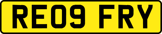 RE09FRY