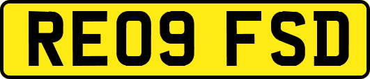 RE09FSD