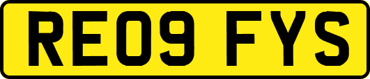 RE09FYS