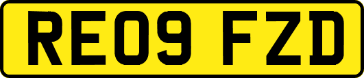 RE09FZD