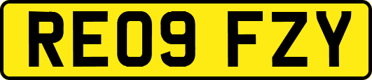 RE09FZY