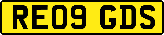 RE09GDS