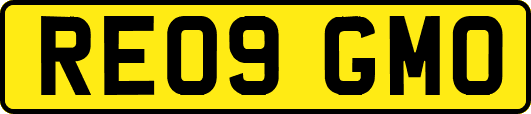 RE09GMO