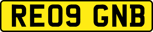 RE09GNB
