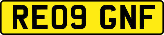 RE09GNF