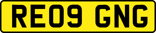 RE09GNG
