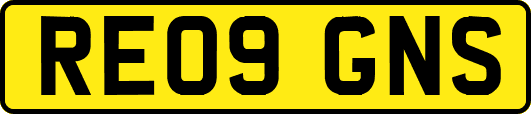 RE09GNS