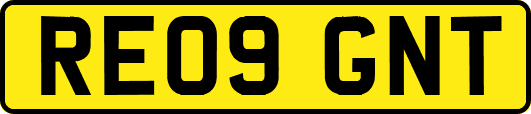 RE09GNT