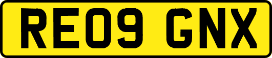 RE09GNX
