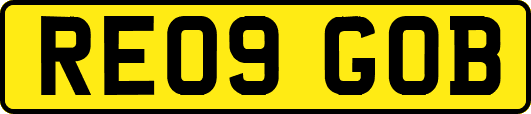RE09GOB