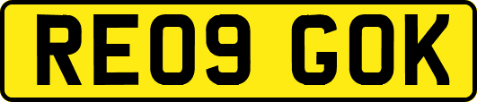 RE09GOK