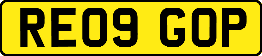 RE09GOP