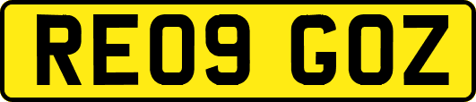 RE09GOZ