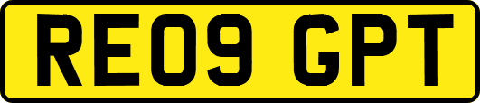 RE09GPT