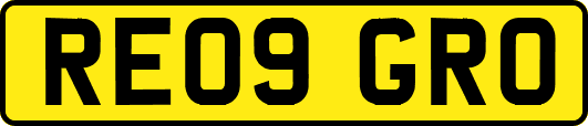 RE09GRO