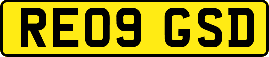 RE09GSD