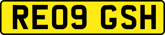 RE09GSH