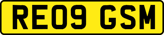 RE09GSM