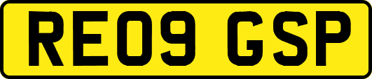 RE09GSP