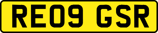RE09GSR