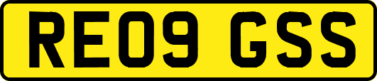 RE09GSS