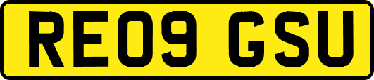 RE09GSU