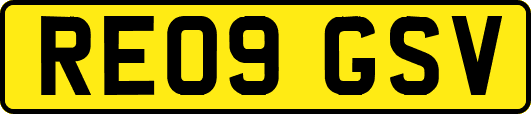 RE09GSV