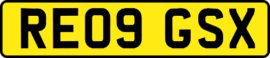 RE09GSX