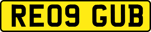 RE09GUB