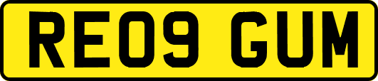RE09GUM