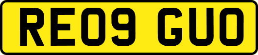 RE09GUO